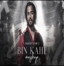 Bin Kahe (Mashup) Shahzeb Tejani