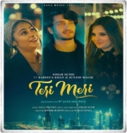 Teri Meri