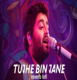 Tujhe Bin Jane Bin Pehchane (Slowed Reverb)