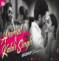 Animal X Kabir Singh Mashup