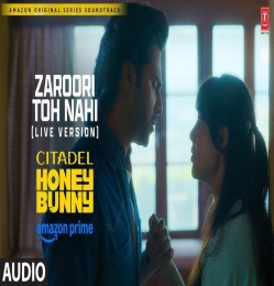 Zaroori Toh Nahi (Citadel Honey Bunny)