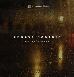 Bheegi Raatein Rainy Nights