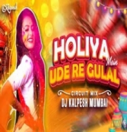Holiya Mein Ude Re Gulal (Dj Remix)