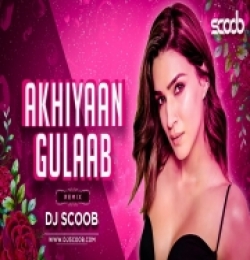 Akhiyaan Gulaab (Remix)