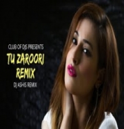 Tu Zaroori (Remix)